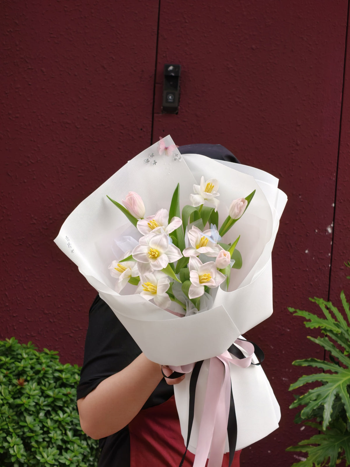 Bó Tulip